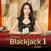 다이너스티 VIP 블랙잭 1 thumbnail